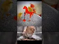 Download Lagu bro the chick🐥😂#cat #funny #explore #memes #bombastic #viral #shorts