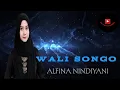 Download Lagu WALI SONGO (Alfina Nindiyani) cover