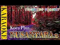 Download Lagu Koes Plus - Nusantara 2 (Karaoke)