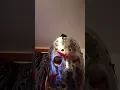 face reveal