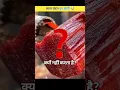 Download Lagu Lal Chandan Ka Ped 🤯 #shorts #short #viral #facts #BpxBlade