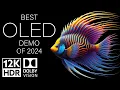 Download Lagu BEST OLED DEMO OF 2024 - DOLBY VISION 12K HDR 120fps