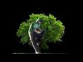 Download Lagu Apple penne nee yaaro...