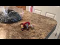 Toy Story 4: Music Video - I Can’t Let You Throw Yourself Away