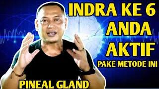 Download Cara Mengaktifkan Indra Ke 6 | Orgasm3 Kelenjar Pineal (Pineal Gland) MP3