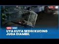 Download Lagu Uya Kuya Ikhlas Rumah Dijarah Massa Tapi Merasa Sedih Kucing Juga Diambil