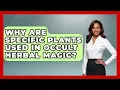 Why Are Specific Plants Used In Occult Herbal Magic - Occult Origins Explained