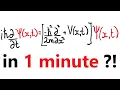Schrodinger Equation explained in under 1 minute