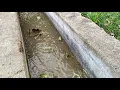 Flow of Water from Heavy Tunnel  #BeautifulLook
