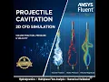 Projectile Cavitation 2D CFD Simulation Using ANSYS Fluent