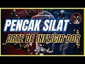 Lagu PENCAK SILAT ARTE DA DOR