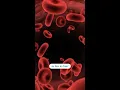 Uterine Fibroids And Anemia Why Gradual Blood Loss Can Be Dangerous Without You Even Noticing