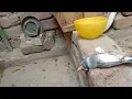 Bad news subha subha java finch mar Gai