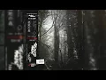 Download Lagu Hello Meteor - The Lowland Forest [Full Album]
