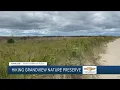 Hiking Hampton Roads Grandview Nature Preserve