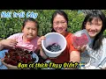 Download Lagu 490/ First day back to Sweden to pick summer fruits, Share the results received??