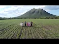 Canto Chuncano - Tormenta de Vino (Las Voces de Orán)
