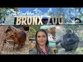 The Bronx Zoo Its History What To Expect During Your Visit