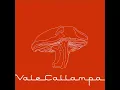 Café Tacuba - Dejaté Caer
