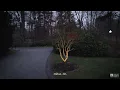 Quiet Luxury Glow Milton MA Apollo Outdoor Lighting