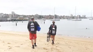 Dive Against Debris A Catalyst for Change