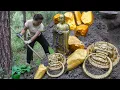 Download Lagu Best video: Gold treasure! You can't even put it in your hands! Get rich