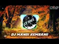 Download Lagu DJ MANDI KEMBANG TENGAH MALAM DANGDUT REMIX FULL BASS BY CF RMX