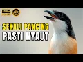 Download Lagu MASTERAN CENDET GACOR TERBARU 2025