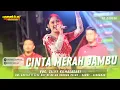 Download Lagu CINTA MERAH JAMBU - SILVY KUMALASARI || ADELLA LIVE HUT RI KE-80 DS. KEDUNG PELUK - CANDI - SIDOARJO