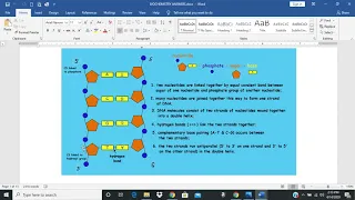 AP BIO Biochemistry Review Sheet Explained