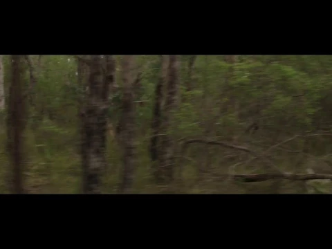 Trailer #2