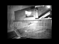 Uhlik Repeating Live Trap
