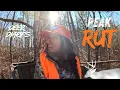 DOE BLEW AT ME 19X PEAK RUT