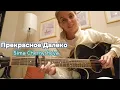 Download Lagu Sima Chernysheva 🎸 Прекрасное Далеко: Удивительный Гитарный Кавер, Который Восхищает!