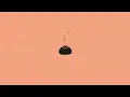 Bonito, Bonito – Thiago Navarro Music (Letra/Lyrics)