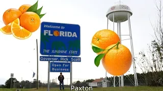 Every City in Florida All 411 Cities Towns and Villages in 4 Minutes