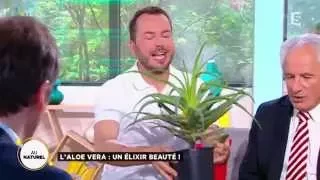 aloe vera a beauty elixir 