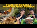 Lagu MULES COBAIN AYAM HUTAN TALIWANG HASIL BERBURU SEBELUM BERANGKAT KE BANDUNG
