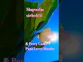 Download Lagu 4K Papa Loves Mambo by Perry Como \u0026 Magnolia sieboldii, Healing Binaural Soundscape by Char #flowers