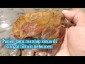 Download Lagu Kristallen Salomon-steen gevonden in de Lukulo-rivier || Salomon-steen || Jalak-voetafdruksteen |...
