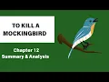 To Kill A Mockingbird Chapter 12 Summary Analysis Harper Lee