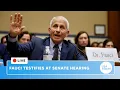Live Anthony Fauci pleads Fifth at Senate hearing lawyer removed from room