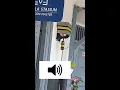 suara lonceng/genta stasiun cilegon || LINK DOWNLOAD MP3 di pin komen