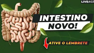 Vou REVELAR como REGULAR seu INTRESTINO RÁPIDO, FÁCIL e NATURAL!