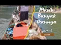 Lagu Seronok Angkat Pukat di Sungai Ini Banyak Ikan