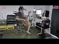 Download Lagu BIP - Si Parno | Bassist Rumahan Cover #209 #BassCover #CoverSong #BassPlayer