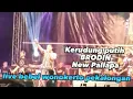Lagu brodin kerudung putih new pallapa GDC  live bebel wonokerto pekalongan #newpallapa #dhehan_audio