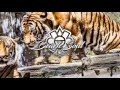 Dubfire & Miss Kittin - Exit (Original Mix) (HQ)