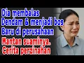 Lagu Diremehkan Sebagai Istri Bodoh, Kubalas Pengkhianatannya \u0026 Ambil Alih Perusahaannya