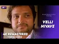 Download Lagu Velli Nilave Video song 4K Official HD Remaster| Karthik | Ilayaraja #Nandhavanatheru